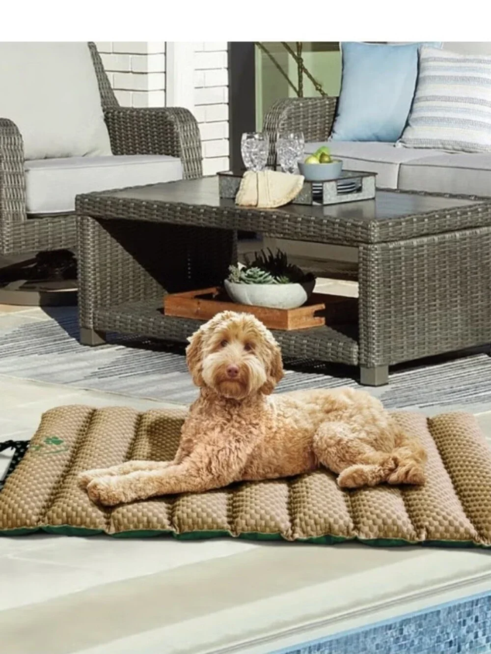 Brentwoof Cooling Travel Pet Mat